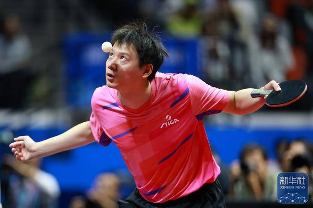 全运会|樊振东亮相乒乓球男单比赛